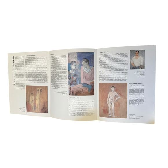 Pablo Picasso 1905 - 1906 Book (English Edition) Brochure (Spanish) Rose Ochres - Picture 9 of 11